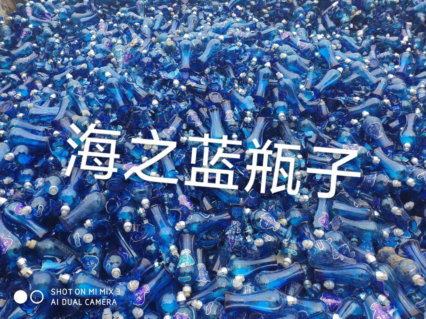宝应海之蓝瓶回收