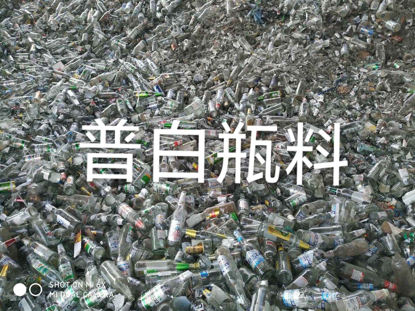 宝应普白瓶料回收